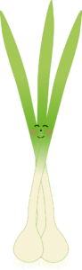 terminuge27_forårsløg